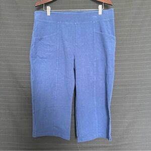 D & Co Active Cropped Elastic Waist Pull On Blue Stretch Pants Womens Tall LT